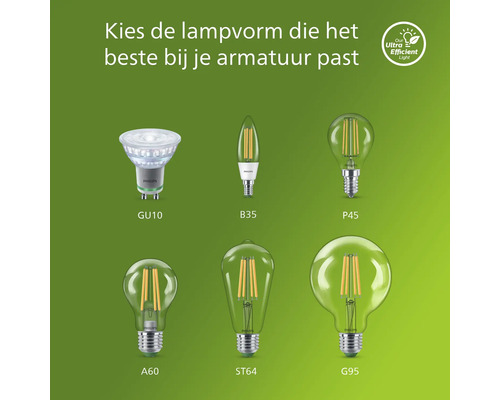 Selectie van verschillende lampvormen: GU10, B35, P45, A60, ST64 en G95