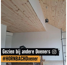 Kamer met houten plafond en een ladder tegen de muur.
