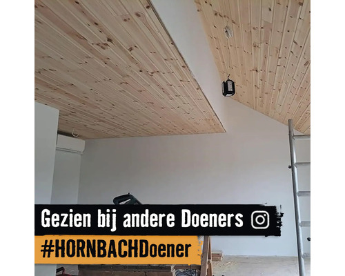 Kamer met houten plafond en een ladder tegen de muur.