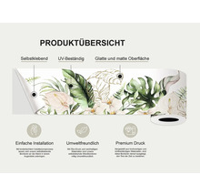 Productoverzicht: zelfklevende rand met plantmotieven, UV-bestendig, glad en mat oppervlak