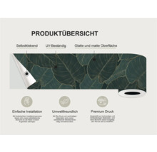 Productoverzicht van een zelfklevende, UV-bestendige rand met glad, mat oppervlak en bladerpatroon.