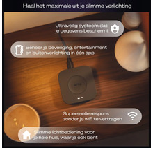 Philips Hue Bridge voor het bedienen van slimme verlichting