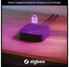 Hue Bridge voor smarthomebesturing