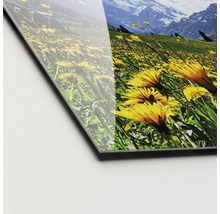 Close-up van een acrylglasplaat met een landschap tafereel met een bloemenweide en bergen.