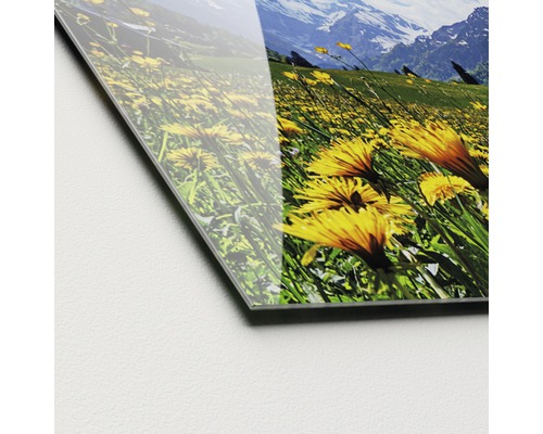 Close-up van een acrylglasplaat met een landschap tafereel met een bloemenweide en bergen.