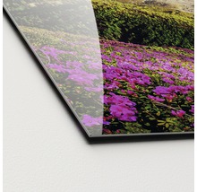 Close-up van een acrylglasplaat met bloemmotief