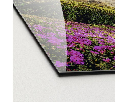 Close-up van een acrylglasplaat met bloemmotief