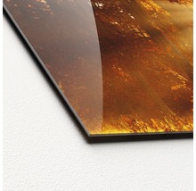 Close-up van een acrylglasplaat met bosmotief