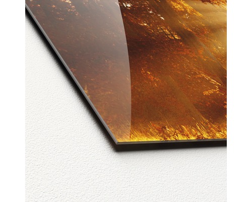 Close-up van een acrylglasplaat met bosmotief