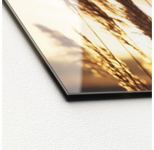 Close-up van een glazen foto met grassen