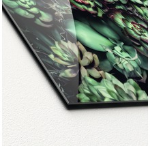 Close-up van een acrylglasplaat met een succulentenmotief