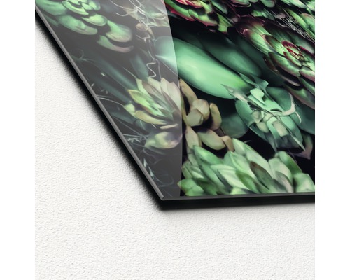 Close-up van een acrylglasplaat met een succulentenmotief