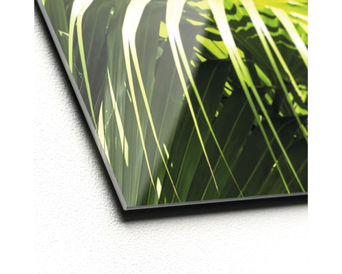 Close-up van een acrylglas foto met een palmboommotief.