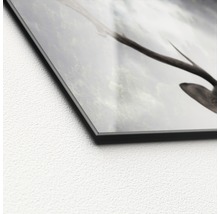 Detailopname van een glazen foto met een motief