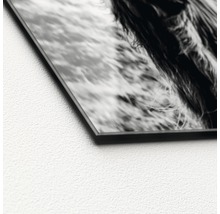 Detail van een glazen fotoprint met dierenmotief