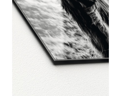 Detail van een glazen fotoprint met dierenmotief