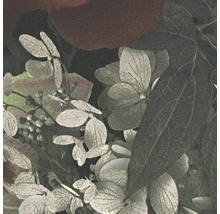 Close-up van hortensiabladeren en -bloemen