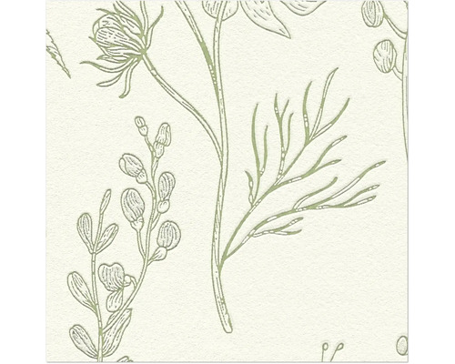 Illustratie van planten op behang