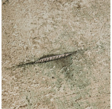 Detailweergave van een behang met houtstructuur