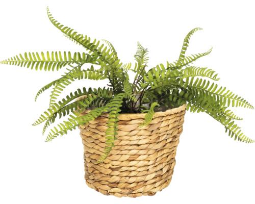 Kunstvaren in gevlochten mand