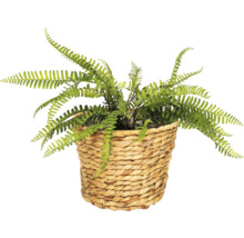 Kunstvaren in een gevlochten mand