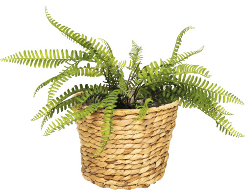 Kunstvaren in een gevlochten mand