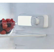 Interieur van een koelkast met een schaal bessen en temperatuurregelaar