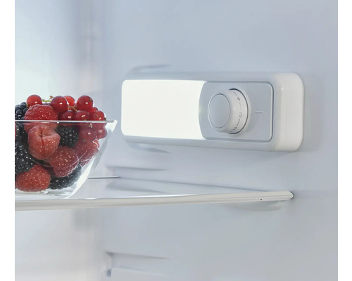 Interieur van een koelkast met fruitschaal en temperatuurregelaar