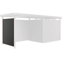 Metalen tuinhuis met zijwand en deur