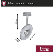 Afbeelding van een enkele zilverkleurige plafondlamp met de afmetingen 183 millimeter hoogte en 119,8 millimeter diameter, evenals de garantie van 5 jaar