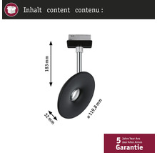 Afmetingen van de zwarte lamp