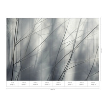 Fotobehang met boomtakken en maataanduidingen