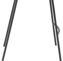 Frame van een kruk