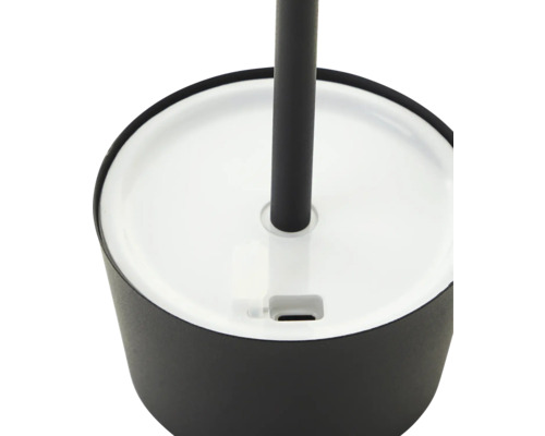 Detailopname van een toiletgarnituur met borstel