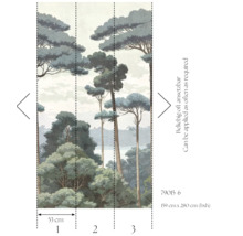 Bos fotobehang met bomen, meerdelig, afmetingen 159 cm x 280 cm