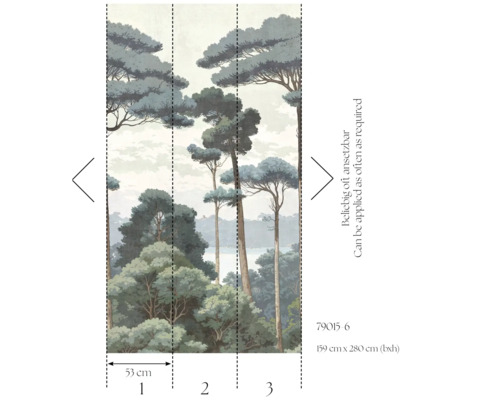 Bos fotobehang met bomen, meerdelig, afmetingen 159 cm x 280 cm