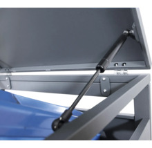 Detailopname vuilnisbakomhuizing met gasdrukveer