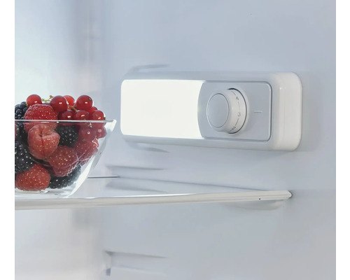 Interieur van een koelkast met een kom bessen en een temperatuurregelaar