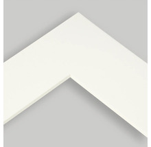 Gedetailleerde weergave van een wit fotolijstprofiel.