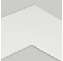 Detailopname van een witte plint