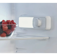 Interieur van een koelkast met een schaal bessen en een temperatuurregelaar