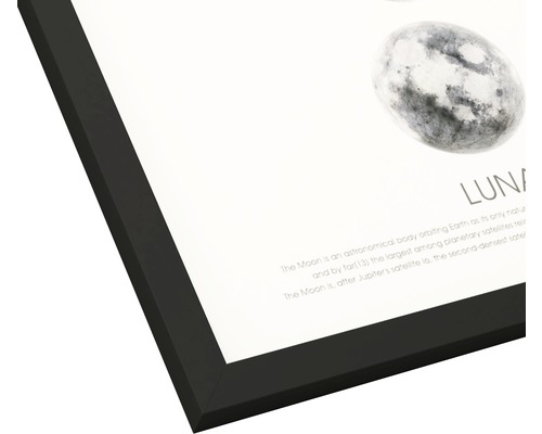 Ingelijste poster met afbeeldingen van de maan en beschrijvende tekst