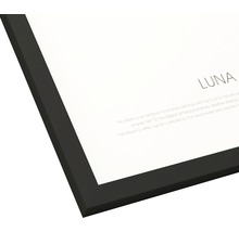 Close-up van een ingelijste print met de tekst Luna en informatie over de maan.