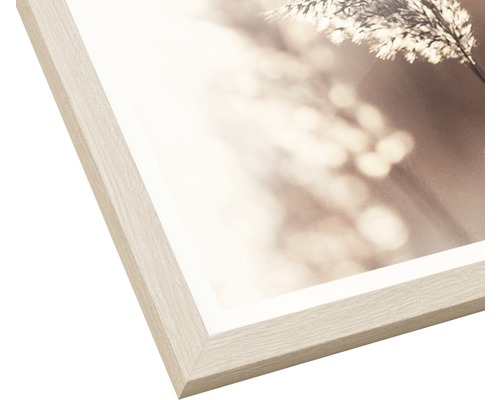 Ingelijste foto met natuurmotief