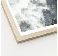 Detailweergave van een ingelijste afbeelding met een bosmotief in de mist