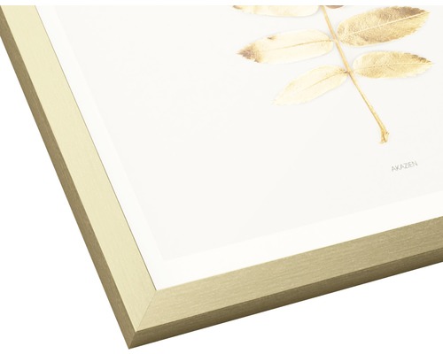 Ingelijste afbeelding met acacia motief