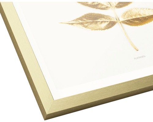 Decoratieve fotolijst met gouden bladmotief voor wanddecoratie