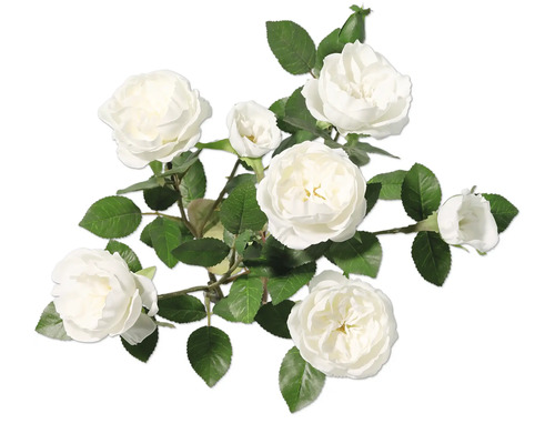 Boeket witte rozen met groene bladeren