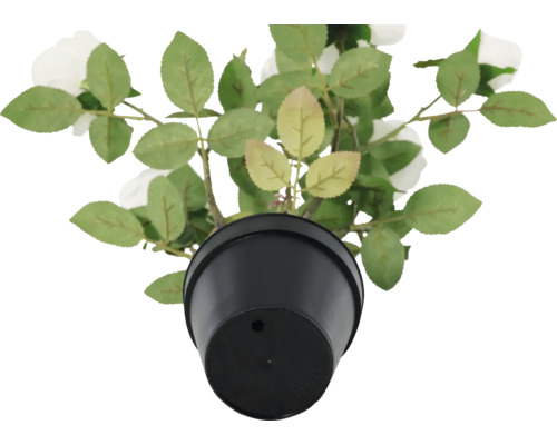 Kunstmatige roos in pot