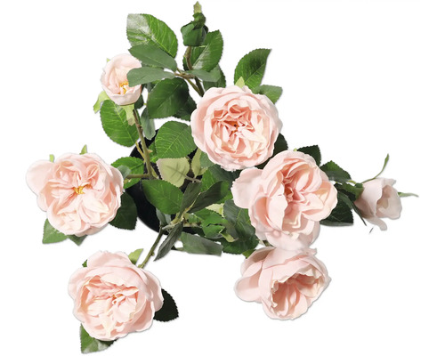 Decoratieve roos met bladeren in pot